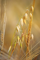 Similar image 7729988