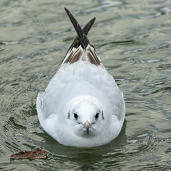 Similar image 7730707