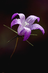 Similar image 7730768