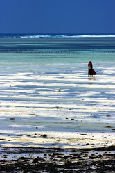 Similar image 7730773