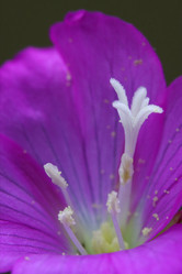 Similar image 7730779