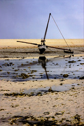 Similar image 7730796