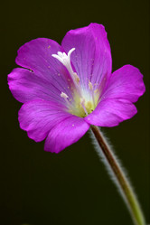 Similar image 7730804