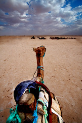 Similar image 7730823