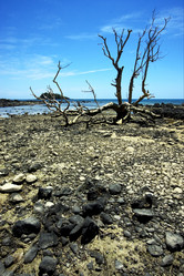 Similar image 7730864