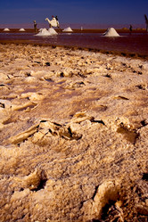 Similar image 7730877