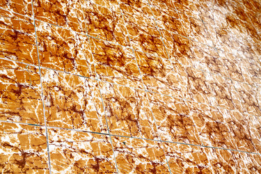 Similar image 7730896