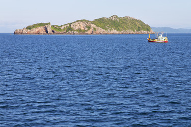 Similar image 7730902