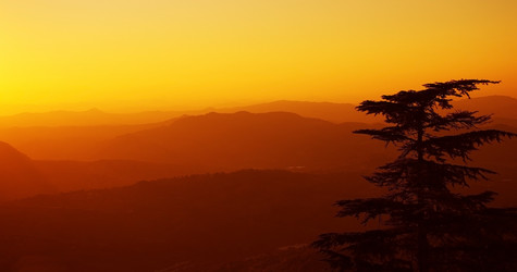 Similar image 7731535