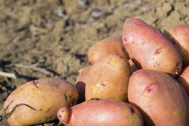 Similar image 7731854