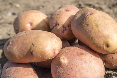 Similar image 7731855