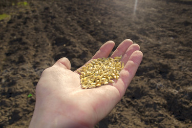 Similar image 7731862