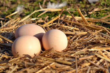 Similar image 7731865