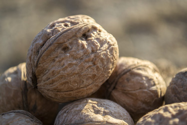 Similar image 7731866