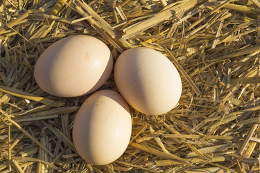 Similar image 7731867