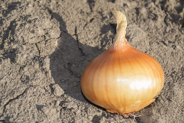 Similar image 7731868