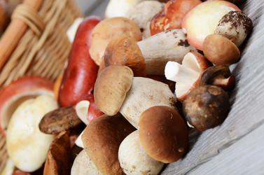 Similar image 7731894