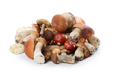 Similar image 7731897