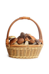 Similar image 7731898