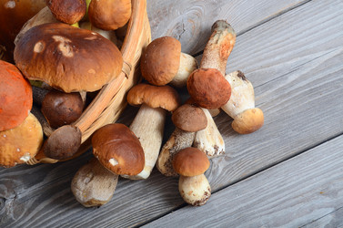 Similar image 7731899