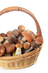 Similar image 7731906