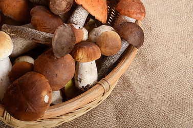 Similar image 7731908