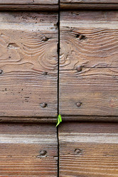 Similar image 7731950