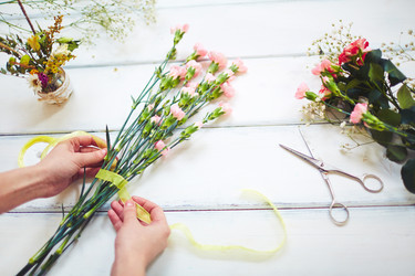 Similar image 7732013