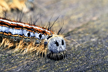 Similar image 7732241