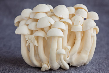 Similar image 7732286