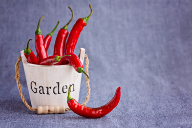 Similar image 7732307