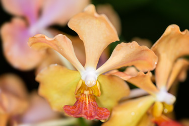 Similar image 7732317