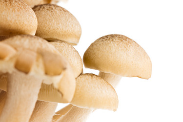 Similar image 7732338