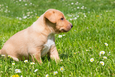 Similar image 7732368