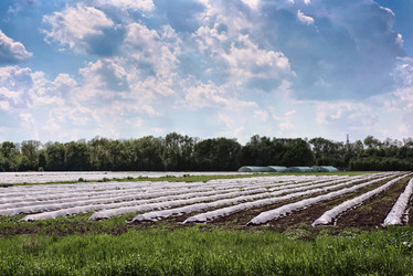 Similar image 7732403