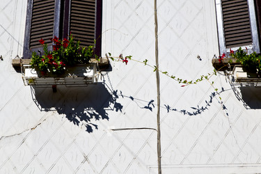 Similar image 7732824