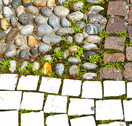 Similar image 7732828