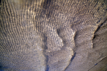 Similar image 7732862