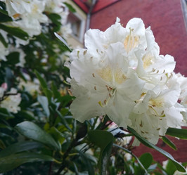 Similar image 7732864