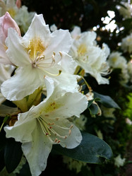 Similar image 7732865