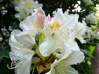 Similar image 7732872