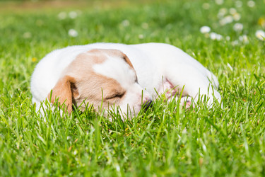 Similar image 7733012