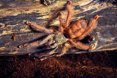 Similar image 7733019