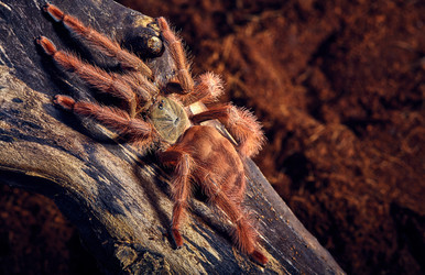 Similar image 7733040