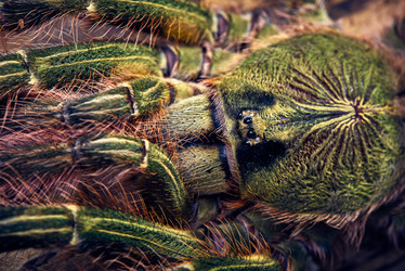 Similar image 7733050