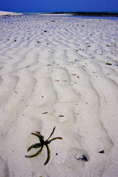 Similar image 7733476