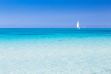 Similar image 7733505