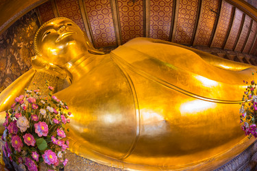 Similar image 7733508