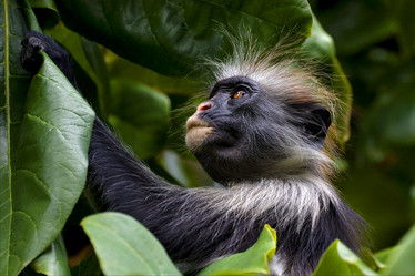 Similar image 7733515