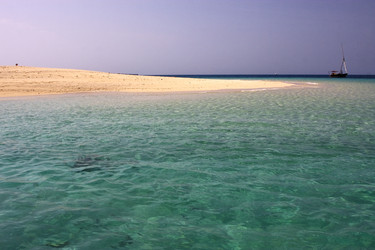 Similar image 7733523